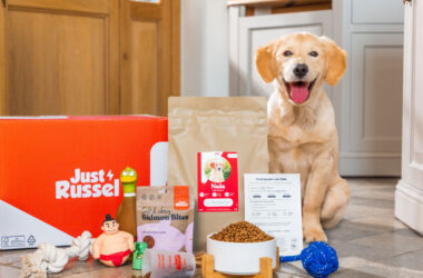 In einem Tierfuttermarkt voller Versprechungen und Verpackungen bietet Just Russel etwas erfrischend Einfaches: Hundefutter, das zu 100 % auf die individuellen Bedürfnisse Ihres Hundes zugeschnitten ist und aus hochwertigen, natürlichen Zutaten hergestellt wird. Die Marke mit Sitz in Deutschland und europaweiter Expansion verändert die Einstellung von Hundebesitzern zur Ernährung. Während viele Tierfutter auf allgemeine Einheitsrezepturen setzen, verfolgt Just Russel einen individuellen Ansatz. Jeder Hund ist anders und sein Futter sollte es auch sein. Ob energiegeladener Welpe oder sensibler Senior – dieser Service hilft Tierhaltern, ihrem Hund eine Ernährung zu bieten, die wirklich auf ihn zugeschnitten ist – nicht nur auf den Durchschnittshund.